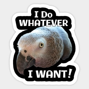 African Grey Parrot - Do Whatever I Want! Sticker